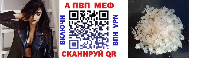 Alfa_PVP СК Тавда