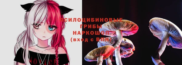 тгк Алексин