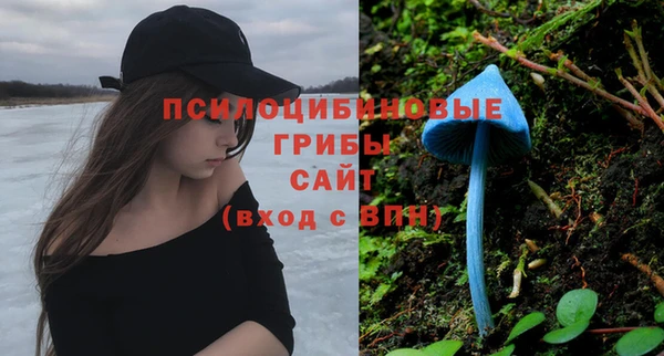 амфетамин Алексеевка