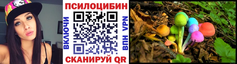 продажа наркотиков  гидра рабочий сайт  Галлюциногенные грибы ЛСД  Тавда 