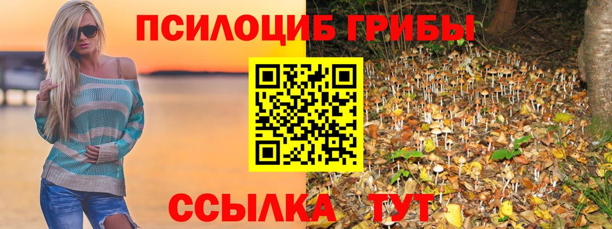 Галлюциногенные грибы мухоморы  Вход с VPN  купить  цена  Псилоцибиновые грибы Psilocybine cubensis  Тавда 